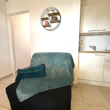 L'amazone Plein Centre Plages A 2min Clim Wifi Sur Le Port - Prosconciergerie- Apartment