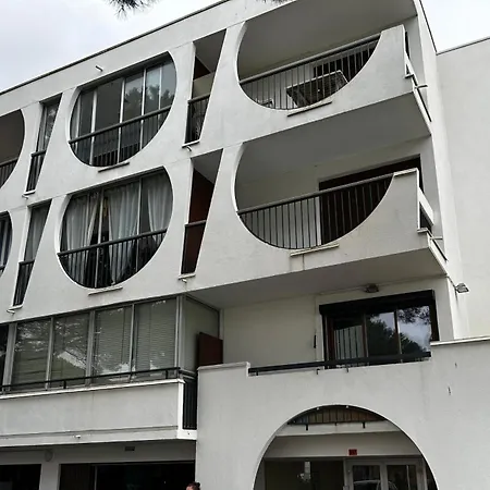 L'amazone Plein Centre Plages A 2min Clim Wifi Sur Le Port - Prosconciergerie- Apartment