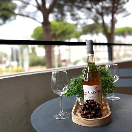 Apartment L'amazone Plein Centre Plages A 2min Clim Wifi Sur Le Port - Prosconciergerie- *
