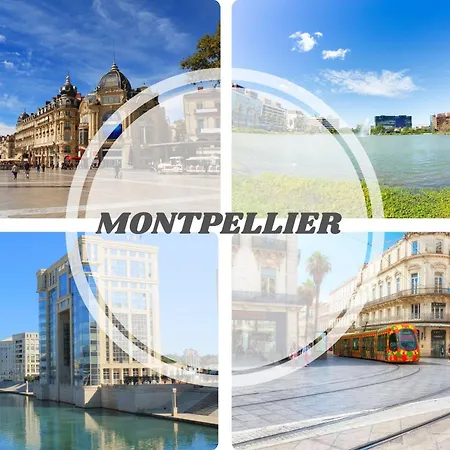 L'amazone Plein Centre Plages A 2min Clim Wifi Sur Le Port - Prosconciergerie- Apartment *
