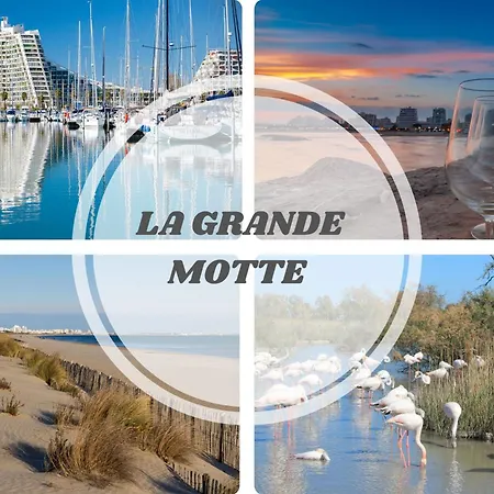Amazone 1 Cosy Centre & Plages Clim Wifi Prosconciergerie Appartamento La Grande-Motte